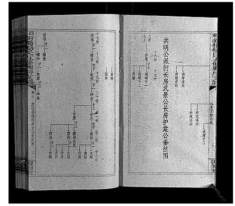 [杨]新桥杨氏五修兴房支谱_16卷首末各1卷 (湖南) 新桥杨氏五修兴房支谱_八.pdf