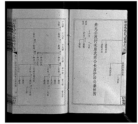 [杨]新桥杨氏五修兴房支谱_16卷首末各1卷 (湖南) 新桥杨氏五修兴房支谱_九.pdf