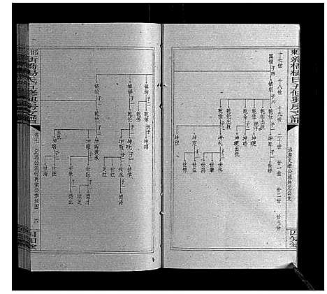 [杨]新桥杨氏五修兴房支谱_16卷首末各1卷 (湖南) 新桥杨氏五修兴房支谱_九.pdf