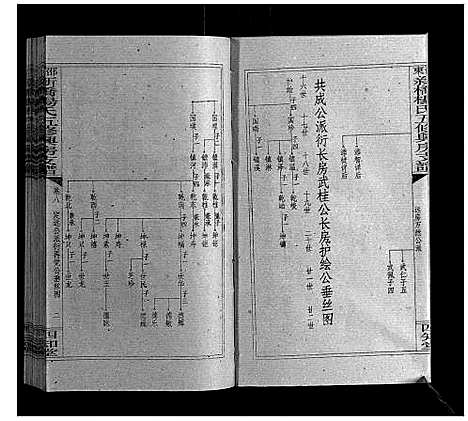 [杨]新桥杨氏五修兴房支谱_16卷首末各1卷 (湖南) 新桥杨氏五修兴房支谱_十.pdf