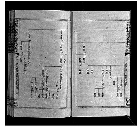 [杨]新桥杨氏五修兴房支谱_16卷首末各1卷 (湖南) 新桥杨氏五修兴房支谱_十.pdf