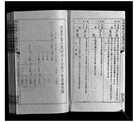 [杨]新桥杨氏五修兴房支谱_16卷首末各1卷 (湖南) 新桥杨氏五修兴房支谱_十一.pdf