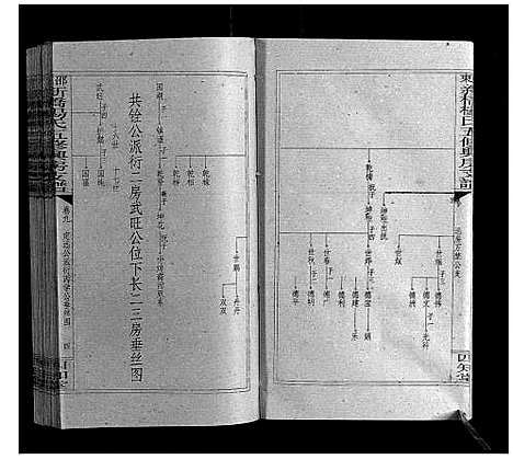 [杨]新桥杨氏五修兴房支谱_16卷首末各1卷 (湖南) 新桥杨氏五修兴房支谱_十一.pdf