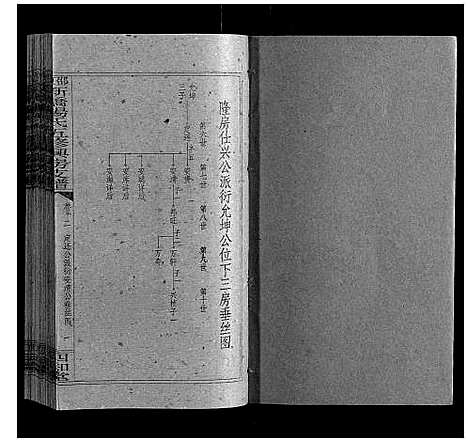 [杨]新桥杨氏五修兴房支谱_16卷首末各1卷 (湖南) 新桥杨氏五修兴房支谱_十三.pdf