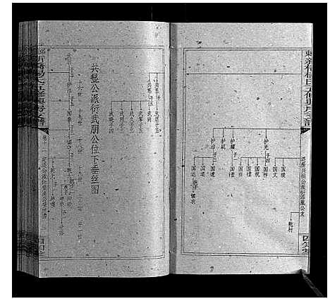 [杨]新桥杨氏五修兴房支谱_16卷首末各1卷 (湖南) 新桥杨氏五修兴房支谱_十三.pdf