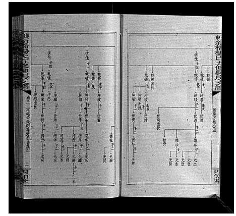 [杨]新桥杨氏五修兴房支谱_16卷首末各1卷 (湖南) 新桥杨氏五修兴房支谱_十八.pdf