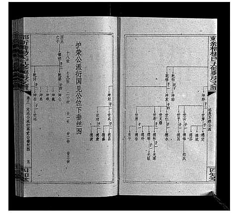 [杨]新桥杨氏五修兴房支谱_16卷首末各1卷 (湖南) 新桥杨氏五修兴房支谱_十八.pdf