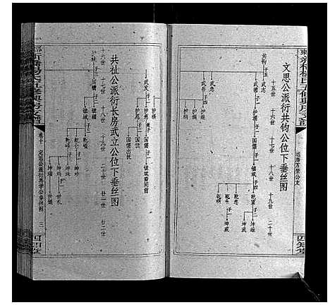 [杨]新桥杨氏五修兴房支谱_16卷首末各1卷 (湖南) 新桥杨氏五修兴房支谱_十九.pdf