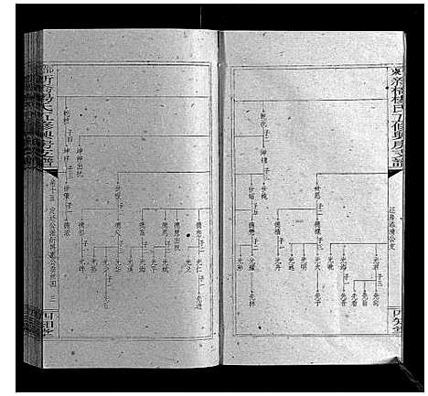 [杨]新桥杨氏五修兴房支谱_16卷首末各1卷 (湖南) 新桥杨氏五修兴房支谱_二十一.pdf