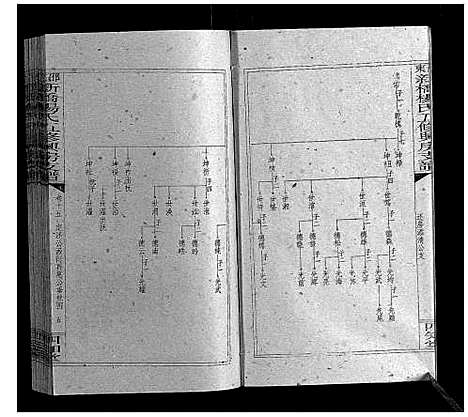 [杨]新桥杨氏五修兴房支谱_16卷首末各1卷 (湖南) 新桥杨氏五修兴房支谱_二十一.pdf