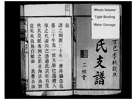 [杨]杨氏三修支谱_5卷首2卷-杨氏支谱 (湖南) 杨氏三修支谱.pdf