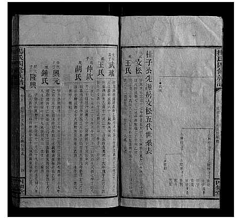 [杨]杨氏四修族谱 (湖南) 杨氏四修家谱_五.pdf