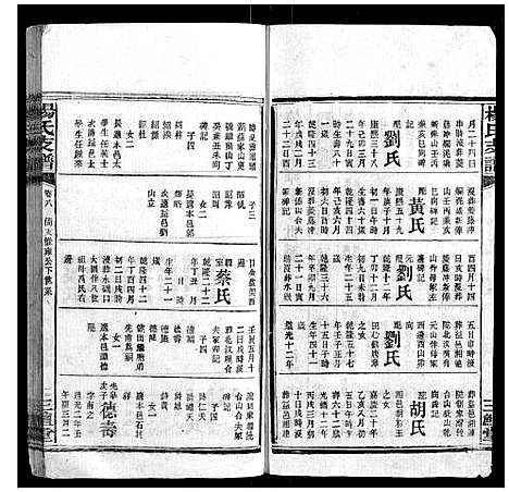 [杨]杨氏支谱_14卷首末各1卷 (湖南) 杨氏支谱_五.pdf