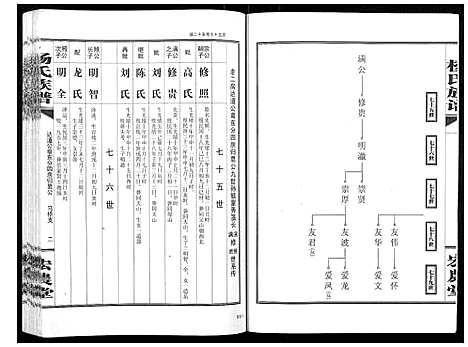 [杨]杨氏族谱 (湖南) 杨氏家谱_五.pdf