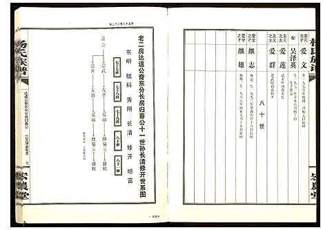 [杨]杨氏族谱 (湖南) 杨氏家谱_五.pdf