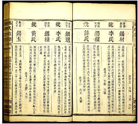 [杨]杨氏族谱 (湖南) 杨氏家谱_五.pdf