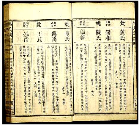 [杨]杨氏族谱 (湖南) 杨氏家谱_五.pdf