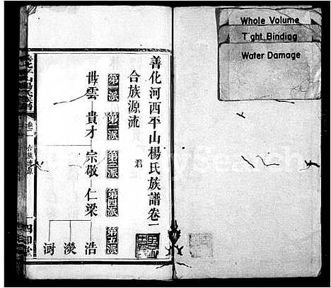 [杨]杨氏族谱_10卷-善化河西平山杨氏族谱_善化平山杨氏族谱 (湖南) 杨氏家谱_二.pdf