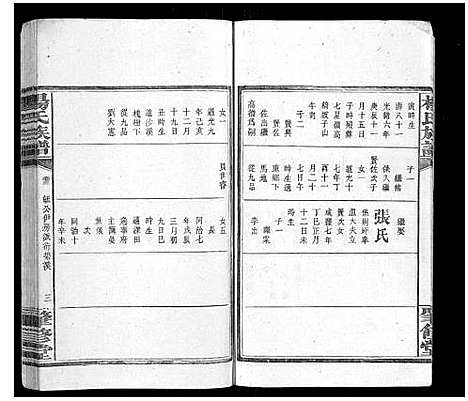 [杨]杨氏族谱_8卷 (湖南) 杨氏家谱_四.pdf