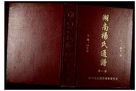 [杨]湖南杨氏通谱 (湖南) 湖南杨氏通谱.pdf