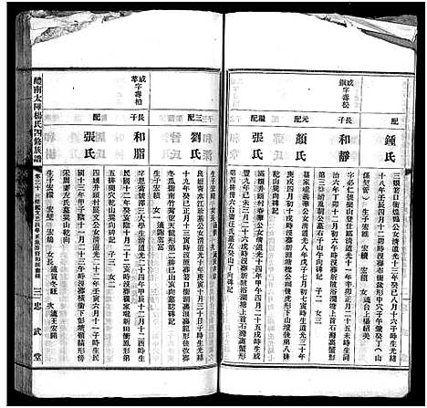 [杨]醴南太障杨氏四修族谱_50卷-太障杨氏族谱-醴南太障杨氏四修族谱 (湖南) 醴南太障杨氏四修家谱_二十九.pdf