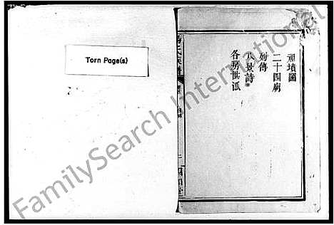 [杨]杨氏族谱 (湖南) 杨氏家谱.pdf