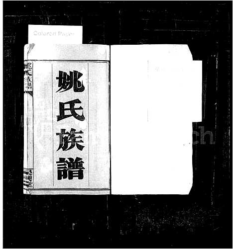 [姚]姚氏族谱_10卷 (湖南) 姚氏家谱.pdf