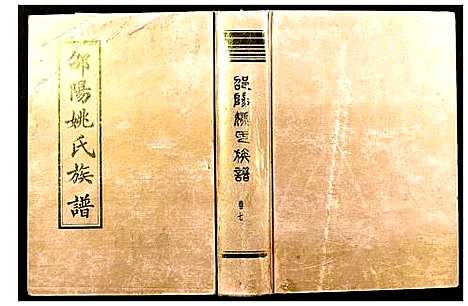 [姚]邵阳姚氏族谱 (湖南) 邵阳姚氏家谱_八.pdf