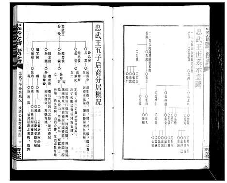 [岳]中华岳氏统谱邵阳分谱_28卷 (湖南) 中华岳氏统谱_十二.pdf