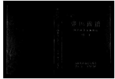 [张]巴陵张氏族谱_12卷首1卷 (湖南) 巴陵张氏家谱_三.pdf