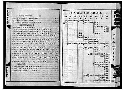 [张]张氏宗谱 (湖南) 张氏家谱_三.pdf