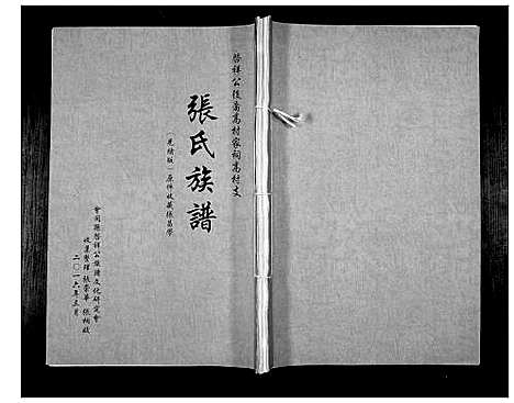 [张]张氏族谱_啓祥公后裔高村家词高村支 (湖南) 张氏家谱.pdf