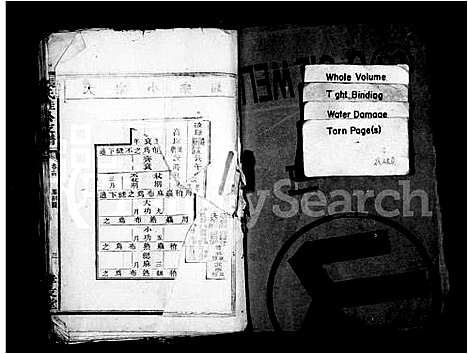 [张]张氏桂公支谱_17卷首末各1卷 (湖南) 张氏桂公支谱_二.pdf