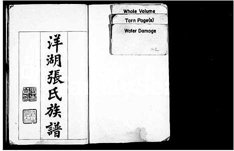 [张]洋湖张氏三修族谱_15卷含卷首_末1卷-洋湖张氏三修族谱 (湖南) 洋湖张氏三修家谱_一.pdf