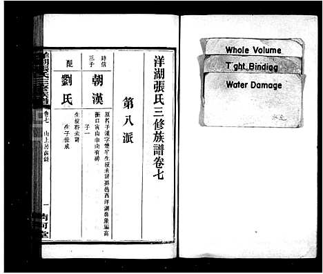 [张]洋湖张氏三修族谱_15卷含卷首_末1卷-洋湖张氏三修族谱 (湖南) 洋湖张氏三修家谱_二.pdf