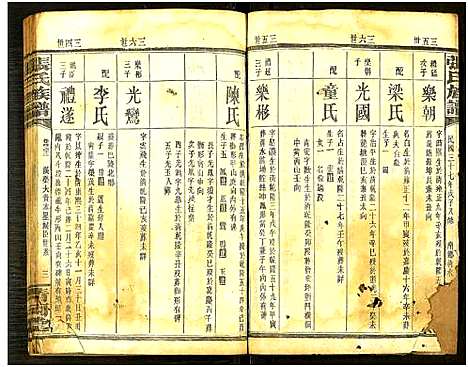 [张]张氏通谱_121册含13卷及卷附卷尾_世系谱甲乙编卷-版心题-张氏族谱 (湖南) 张氏通谱_三十七.pdf