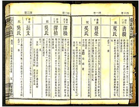 [张]张氏通谱_121册含13卷及卷附卷尾_世系谱甲乙编卷-版心题-张氏族谱 (湖南) 张氏通谱_四十一.pdf