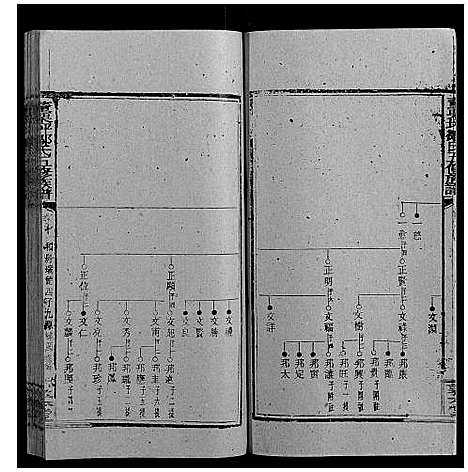 [邹]董栗坪邹氏五修族谱_31卷首2卷 (湖南) 董栗坪邹氏五修家谱_十四.pdf