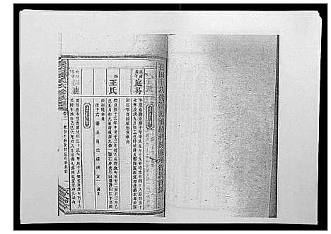 [邹]高召邹氏六修族谱_齿录41卷谱首10卷世系7卷 (湖南) 高召邹氏六修家谱_二十.pdf