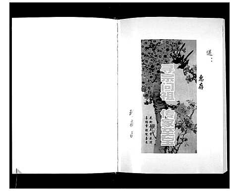 [陈]圆镜陈氏族谱 (广东) 圆镜陈氏家谱.pdf