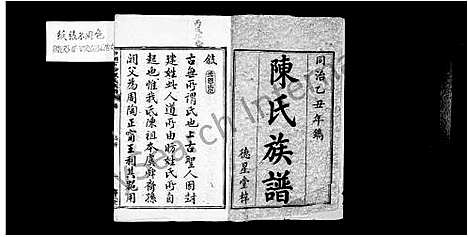 [陈]陈氏族谱_不分卷 (广东) 陈氏家谱.pdf