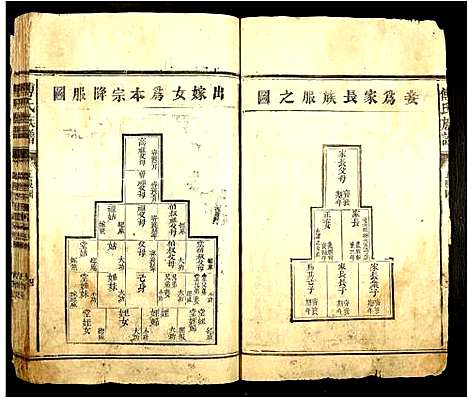 [傅]傅氏族谱 (广东) 傅氏家谱_五.pdf