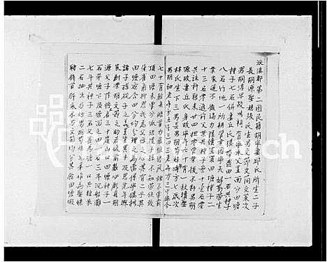 [胡]胡氏族谱-元朗田心村 (广东) 胡氏家谱.pdf