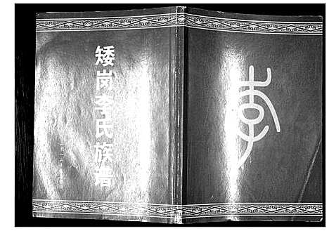 [李]矮岗李氏族谱 (广东) 矮岗李氏家谱.pdf