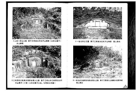 [李]矮岗李氏族谱 (广东) 矮岗李氏家谱.pdf