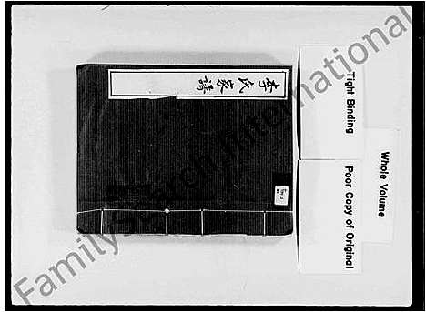 [李]李氏家谱 (广东) 李氏家谱_一.pdf