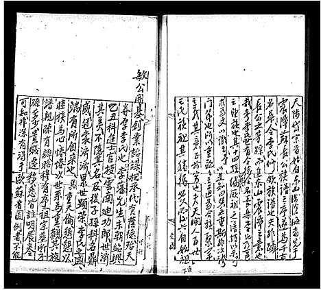 [李]李如奎祖族谱 (广东) 李如奎祖家谱.pdf