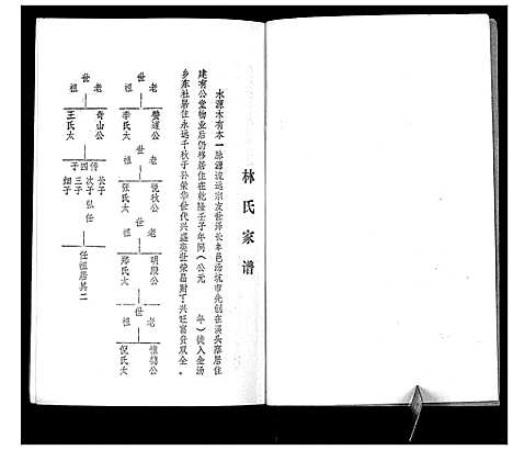 [林]林氏元丰家谱 (广东) 林氏元丰家谱_一.pdf