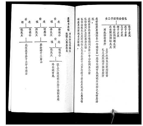 [林]林氏元丰家谱 (广东) 林氏元丰家谱_一.pdf