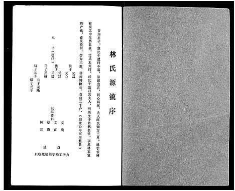 [林]林氏元丰家谱 (广东) 林氏元丰家谱_二.pdf